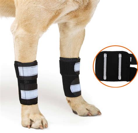 NeoAlly Rear Leg Dog Brace; 3. . Leg brace for dog